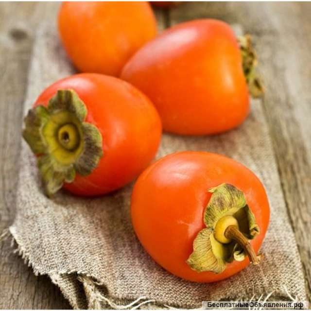 Саженцы хурмы и инжира