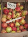 Яблоки "Айдаред"