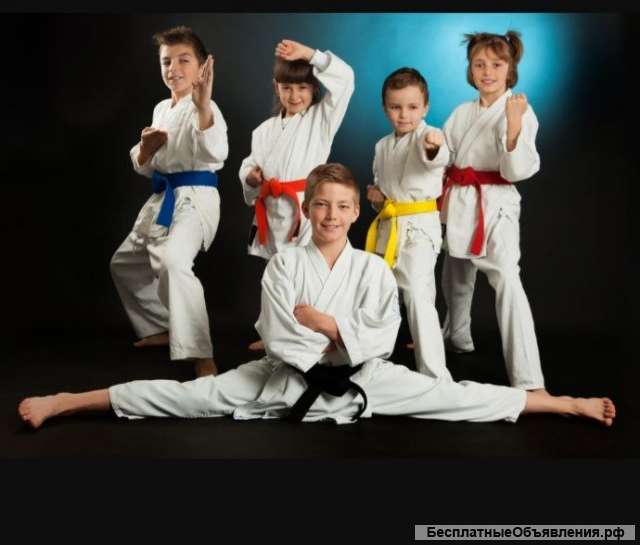 Секция Каратэ. Набор групп.