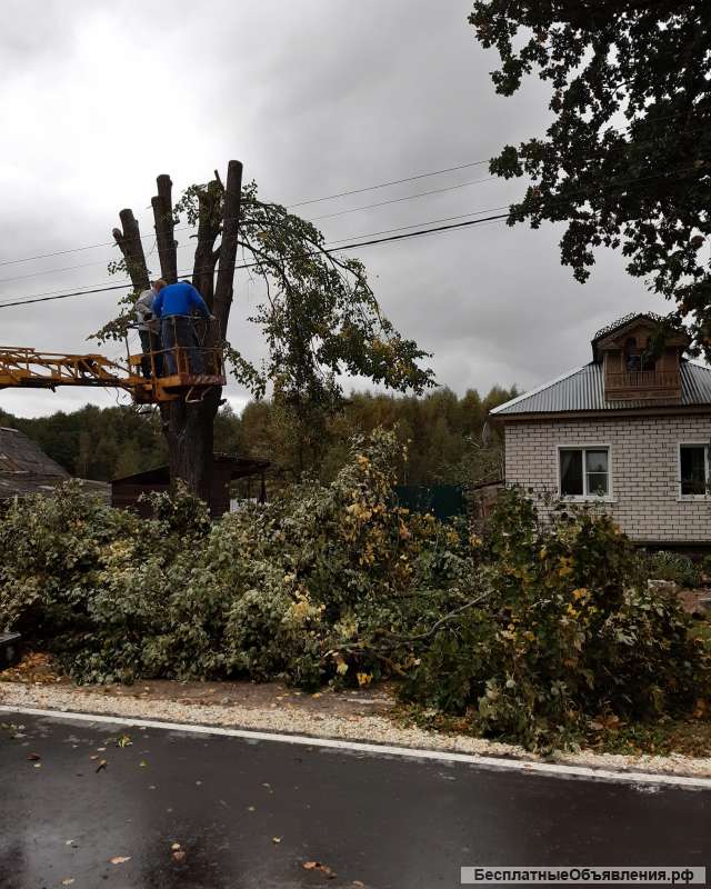 Спил деревьев и кустарников