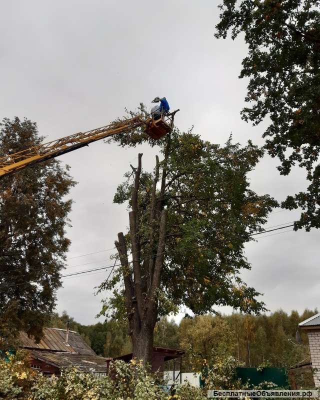 Спил деревьев и кустарников