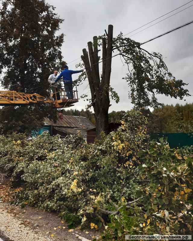 Спил деревьев и кустарников