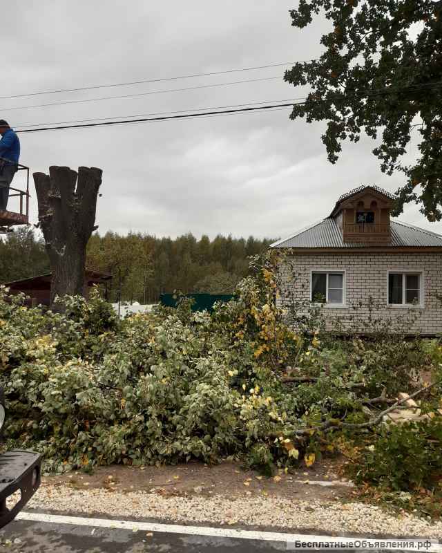 Спил деревьев и кустарников