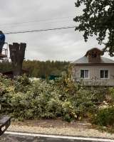 Спил деревьев и кустарников