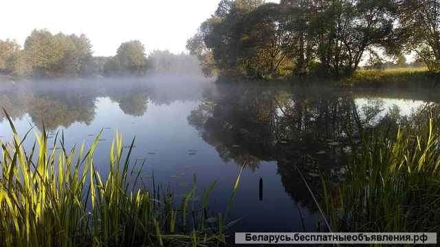 Большой участок с домом в Нарочанском крае по хорошей цене