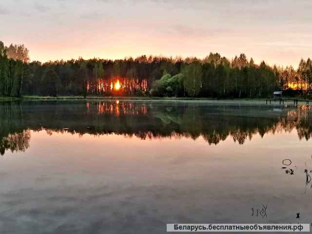 Большой участок с домом в Нарочанском крае по хорошей цене