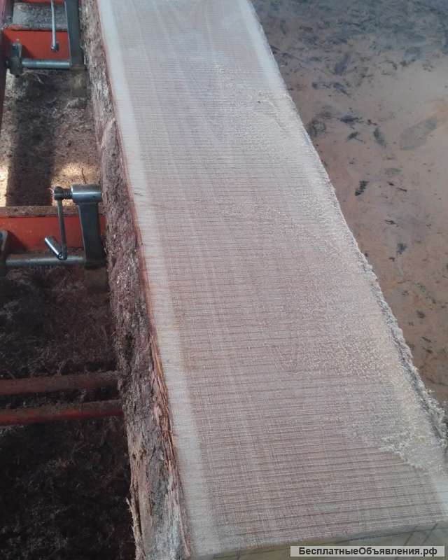 Ясень, обрезной, не обрезной