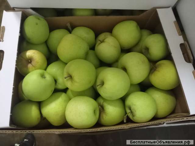 Яблоки Голден оптом