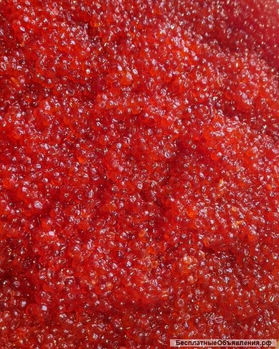 Икра красная 2022 года. Камчатка.