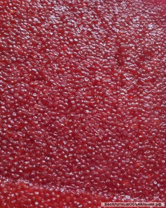 Икра красная 2022 года. Камчатка.