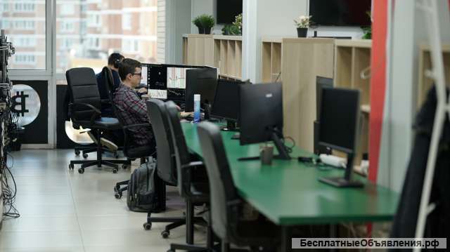 В команду требуются Junior Trader