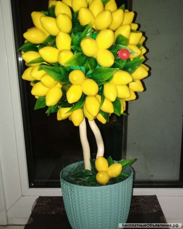 Лимонное дерево