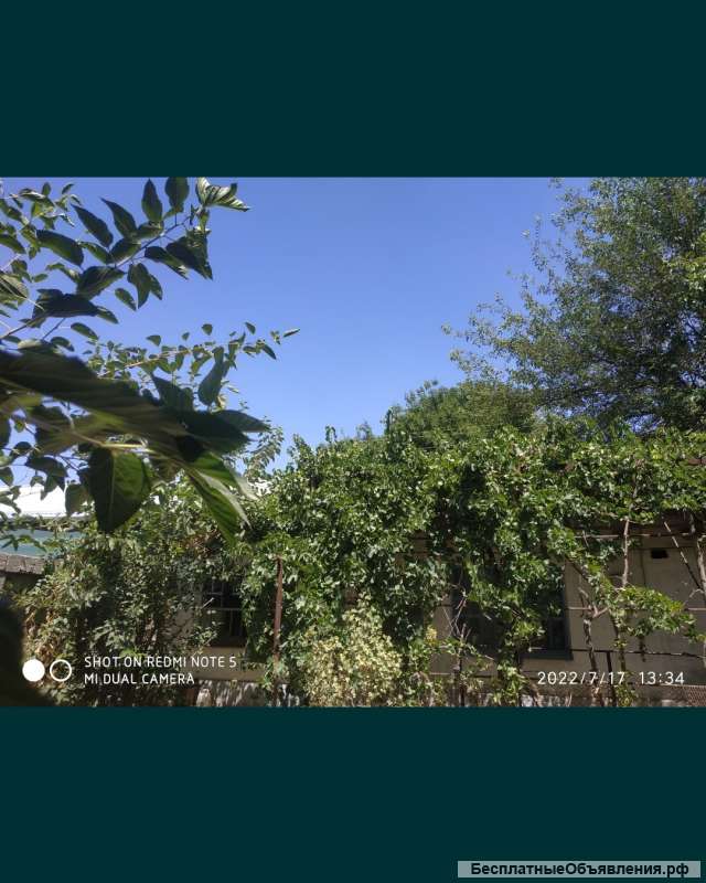 Дом под Ташкентом