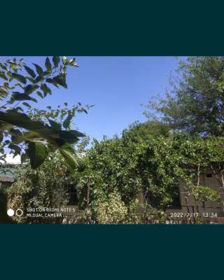 Дом под Ташкентом