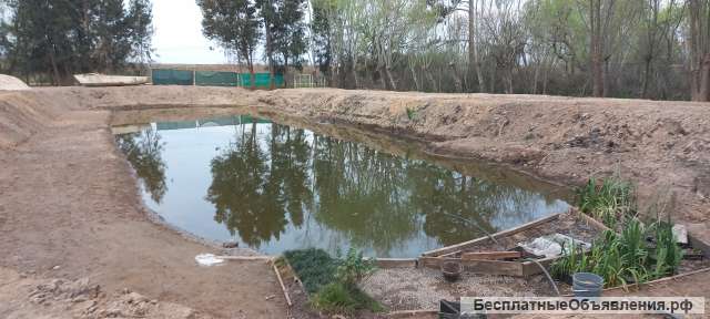 Недвижимость в Аргентине