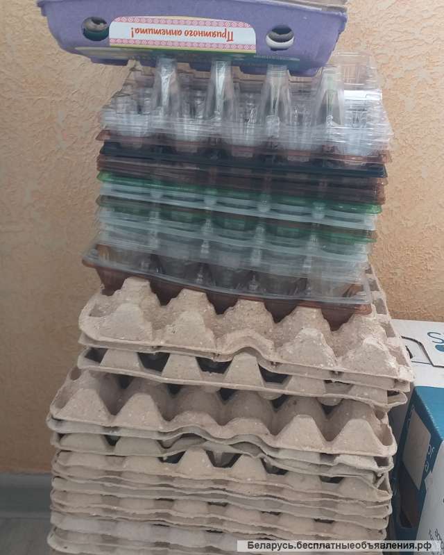 Лотки для яиц упаковочные/контейнеры-80шт