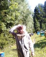 Мёд пчелиный