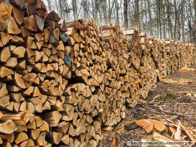 Березовые дрова, колотые, в чурках
