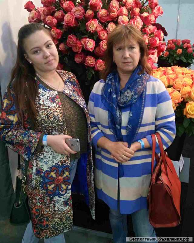 Саженцы роз элитных сортов Почтой России, ТК СДЭК и самовывозом из Домодедодово