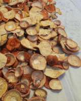 Сушеные мухоморы 2022 год