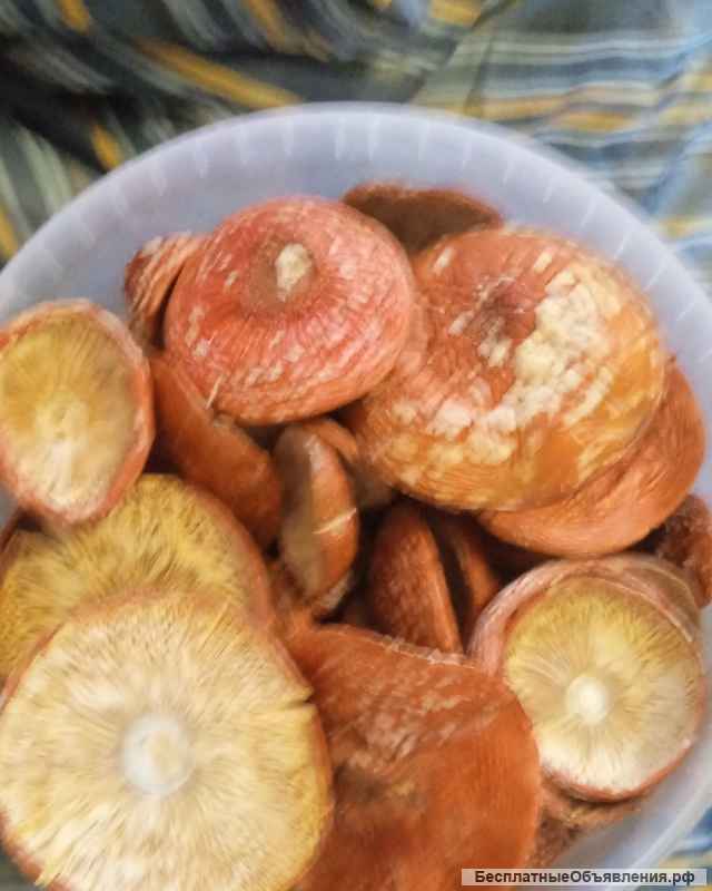 Сушеные мухоморы 2022 год