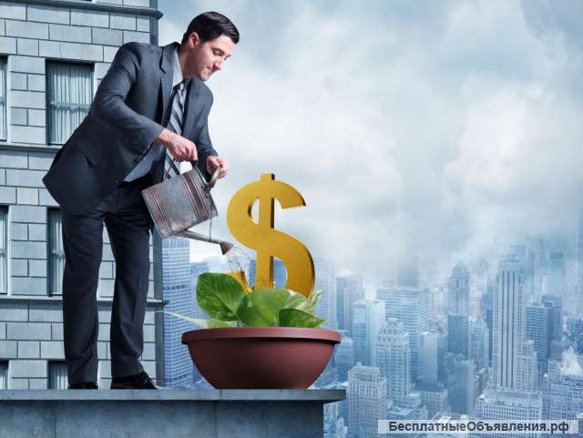 Помощник экономиста