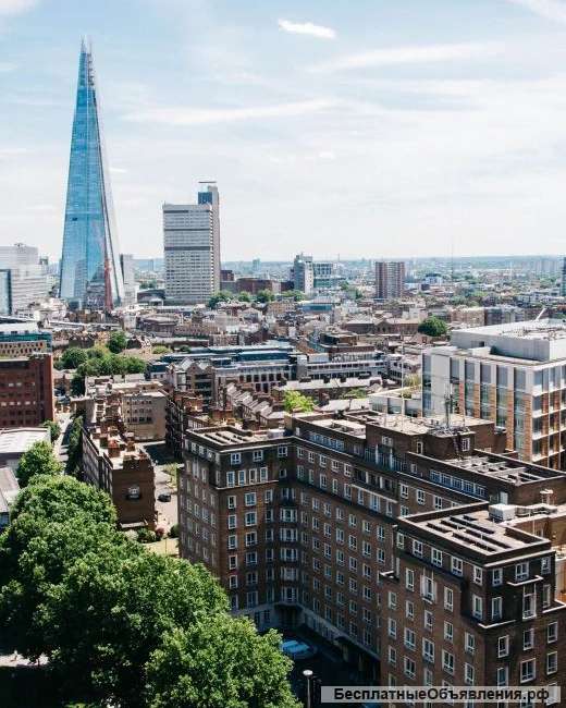 Готовые проекты сайтов на WordPress