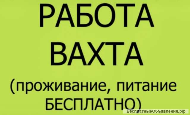 Работа вахтой упаковщик Москва питание жилье