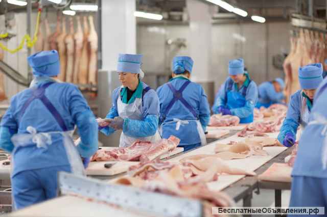 Вахта на мясокомбинате разнорабочие М/Ж Тверская обл