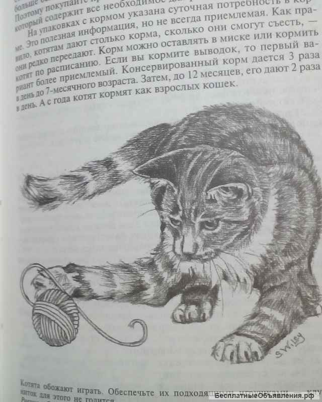 Справочник для владельцев кошек