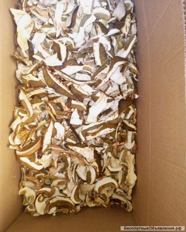 Грибы сушеные с Алтайского края