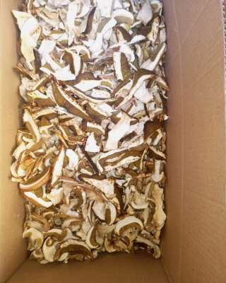 Грибы сушеные с Алтайского края