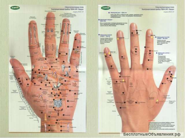 Делаю тестирование организма