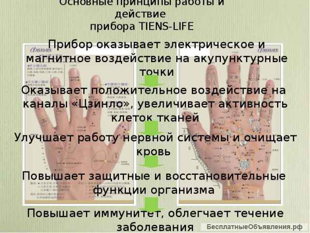 Делаю тестирование организма