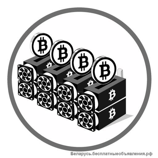 Майнинг хостинг / Майнинг отель Sibtrust