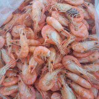 Креветка " мелкая " (Черноморская и Азовская)