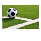 Газонная трава "спорт - profi" (мешок -20 кг)