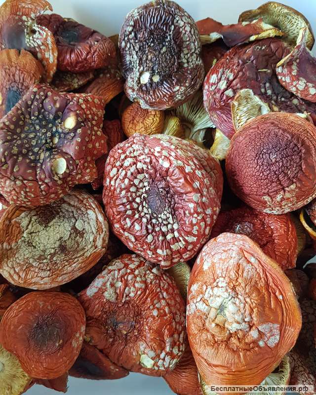 Мухоморы красные сушеные