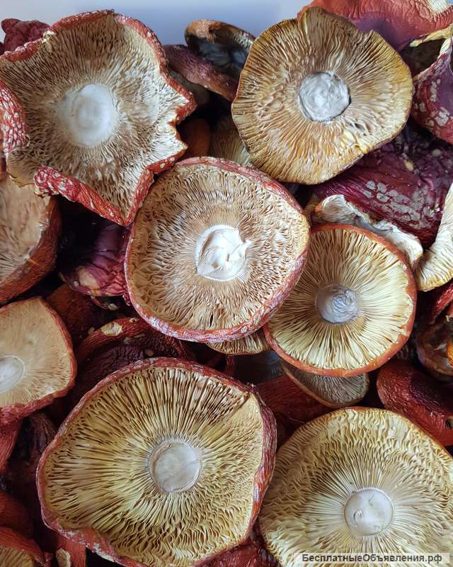 Мухоморы красные сушеные
