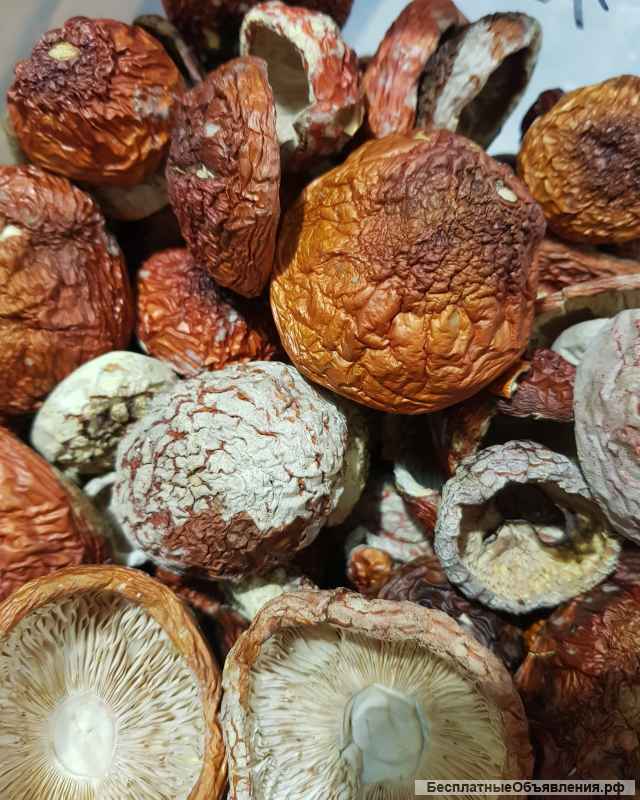 Мухоморы красные сушеные