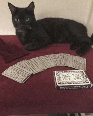 Расклады на картах Таро