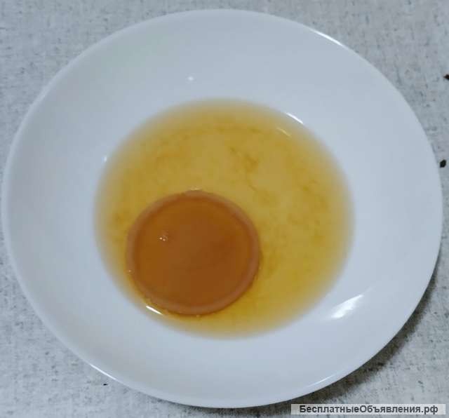 Чайный гриб