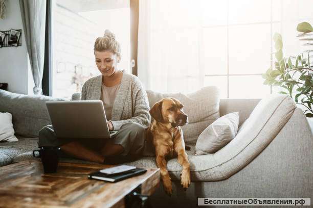 Оператор чата