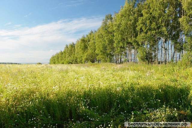 Земельный участок-проект за 4 183 367 р