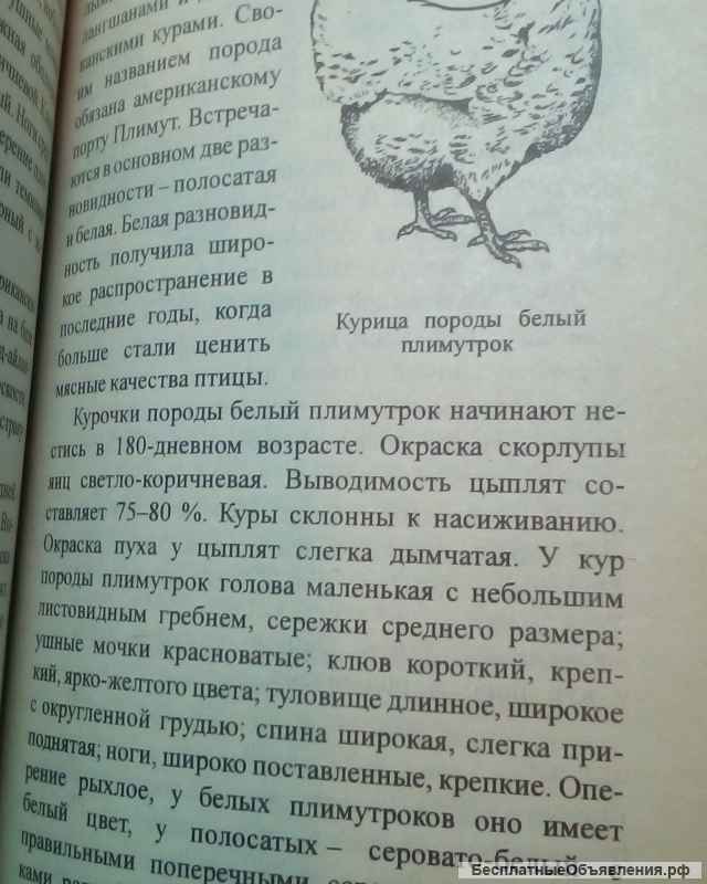 Приусадебное хозяйство