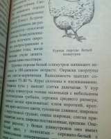 Приусадебное хозяйство