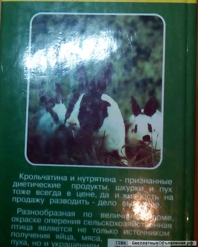 Приусадебное хозяйство