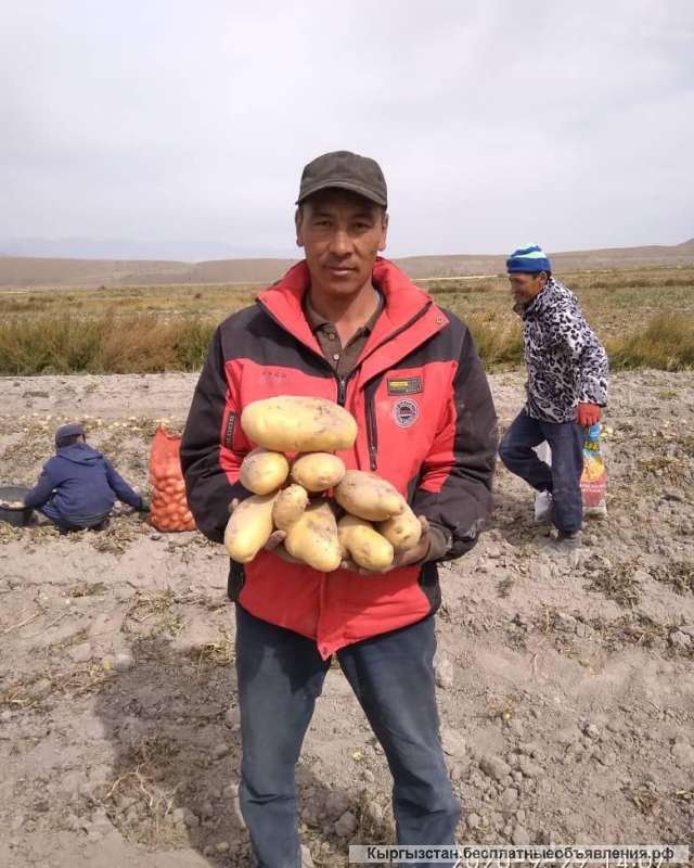 СИЛА КРЕМНИЯ - Бренд 1 среди удобрений на основе кремния