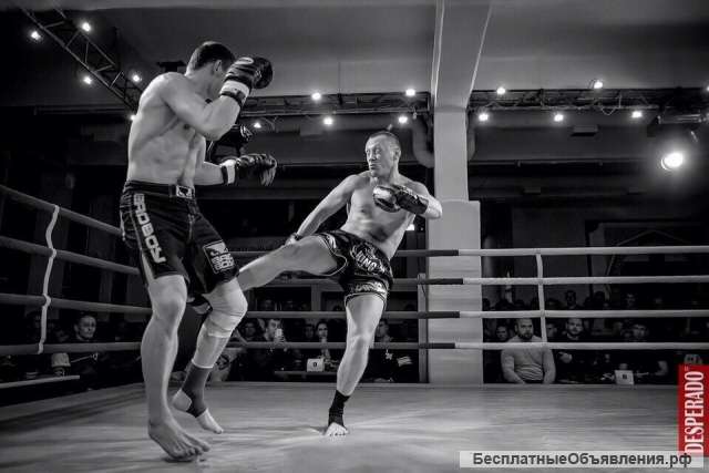 Тренер по боксу