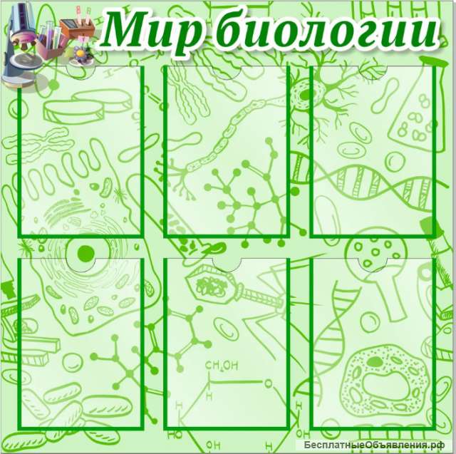 Стенд Мир биологии 800х800 мм